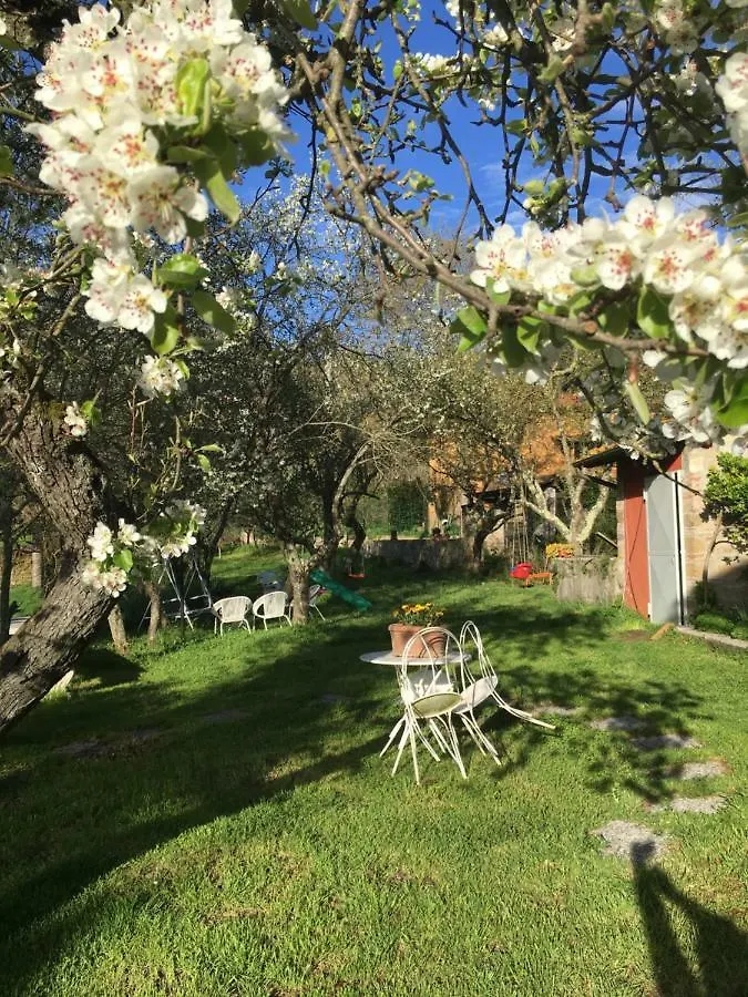 Chiesa Di San Michele Bed & Breakfast Incisa in Val d'Arno